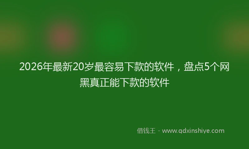 2026年最新20岁最容易下款的软件，盘点5个网黑真正能下款的软件