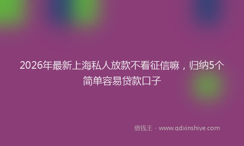 2026年最新上海私人放款不看征信嘛，归纳5个简单容易贷款口子