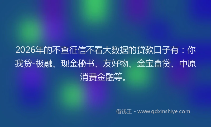 2026年的不查征信不看大数据的贷款口子有:你我贷-极融、现金秘书、友好物、金宝盒贷、中原消费金融等。