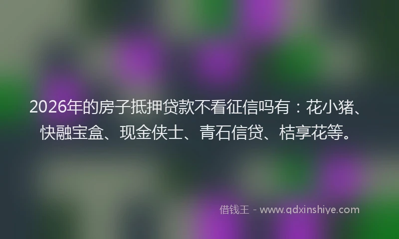 2026年的房子抵押贷款不看征信吗有：花小猪、快融宝盒、现金侠士、青石信贷、桔享花等。