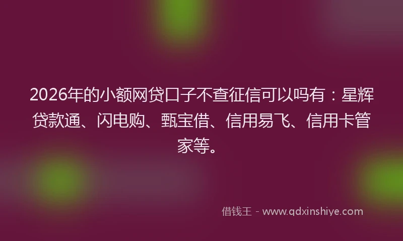 2026年的小额网贷口子不查征信可以吗有:星辉贷款通、闪电购、甄宝借、信用易飞、信用卡管家等。