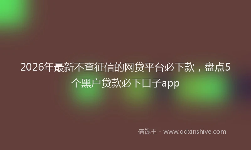 2026年最新不查征信的网贷平台必下款,盘点5个黑户贷款必下口子app