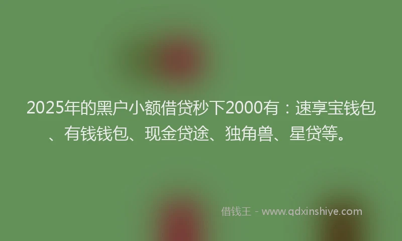 2025年的黑户小额借贷秒下2000有：速享宝钱包、有钱钱包、现金贷途、独角兽、星贷等。