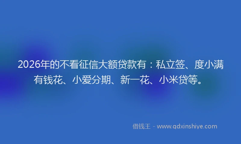 2026年的不看征信大额贷款有：私立签、度小满有钱花、小爱分期、新一花、小米贷等。