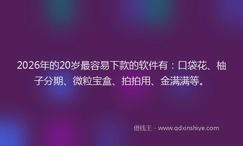 2026年的20岁最容易下款的软件有：口袋花、柚子分期、微粒宝盒、拍拍用、金满满等。