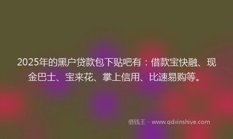 2025年的黑户贷款包下贴吧有：借款宝快融、现金巴士、宝来花、掌上信用、比速易购等。