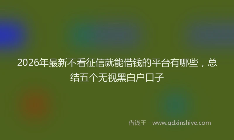 2026年最新不看征信就能借钱的平台有哪些,总结五个无视黑白户口子