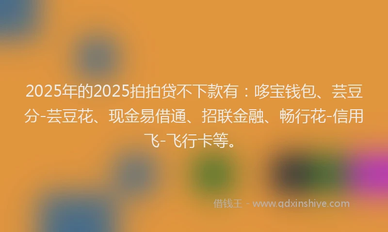 2025年的2025拍拍贷不下款有：哆宝钱包、芸豆分-芸豆花、现金易借通、招联金融、畅行花-信用飞-飞行卡等。