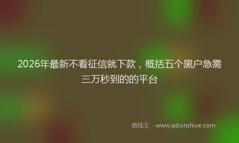 2026年最新不看征信就下款,概括五个黑户急需三万秒到的的平台