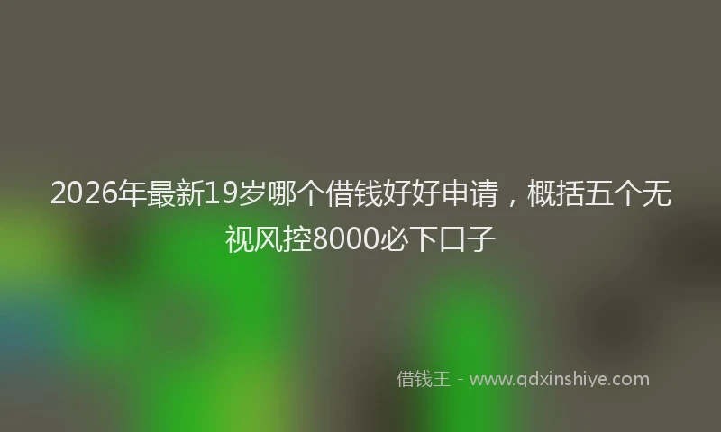2026年最新19岁哪个借钱好好申请，概括五个无视风控8000必下口子