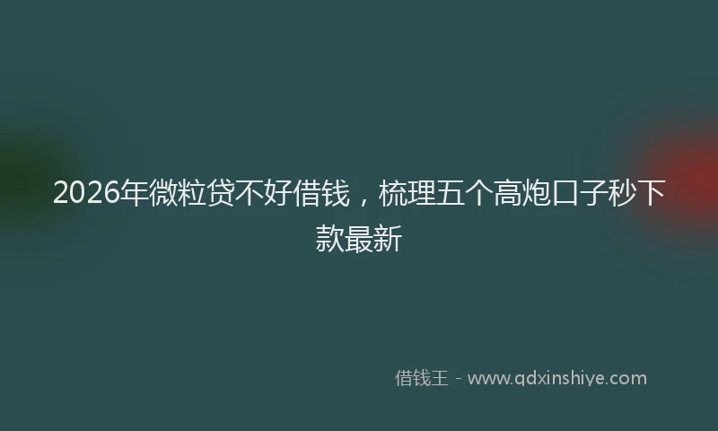 2026年微粒贷不好借钱,梳理五个高炮口子秒下款最新