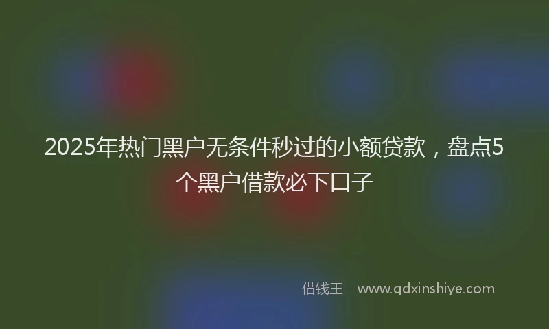 2025年热门黑户无条件秒过的小额贷款，盘点5个黑户借款必下口子