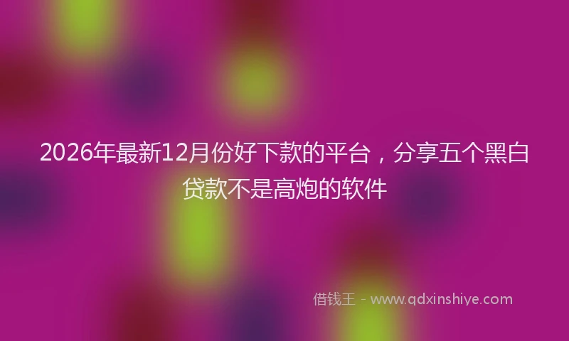 2026年最新12月份好下款的平台，分享五个黑白贷款不是高炮的软件