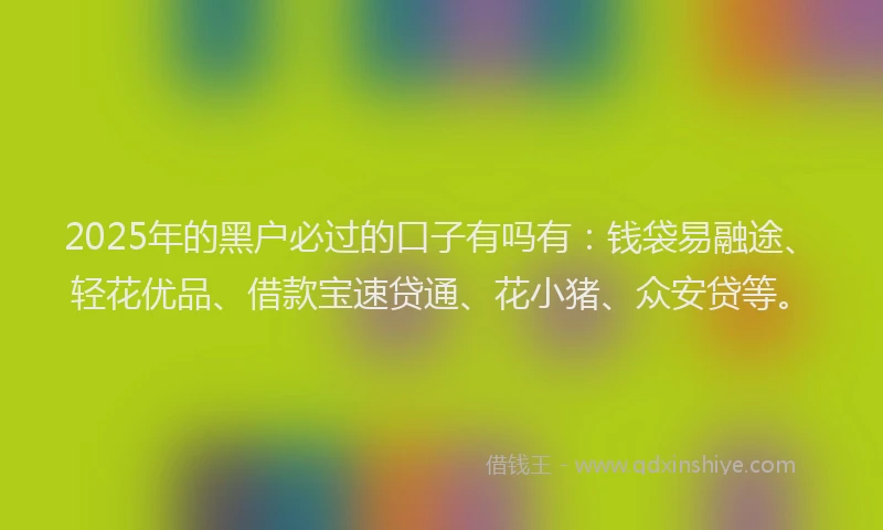2025年的黑户必过的口子有吗有：钱袋易融途、轻花优品、借款宝速贷通、花小猪、众安贷等。