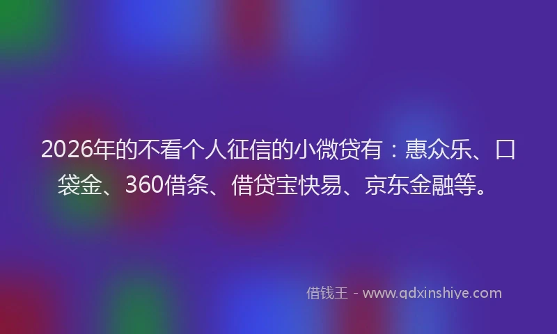 2026年的不看个人征信的小微贷有：惠众乐、口袋金、360借条、借贷宝快易、京东金融等。
