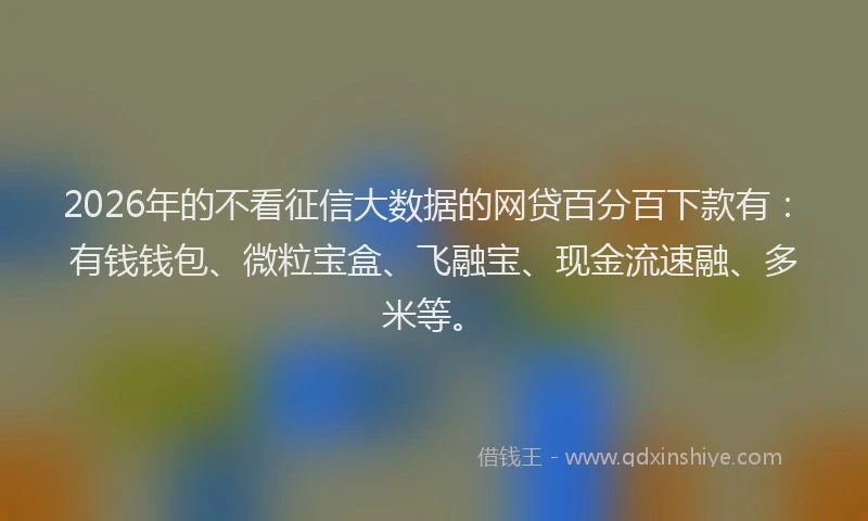 2026年的不看征信大数据的网贷百分百下款有：有钱钱包、微粒宝盒、飞融宝、现金流速融、多米等。
