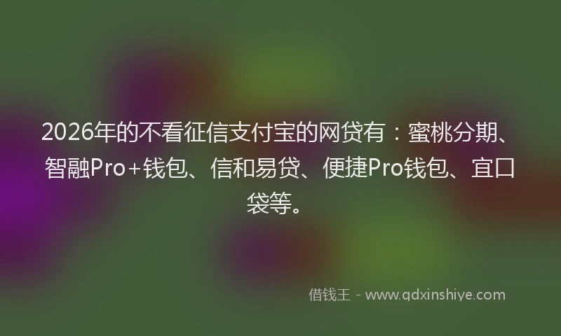 2026年的不看征信支付宝的网贷有:蜜桃分期、智融Pro+钱包、信和易贷、便捷Pro钱包、宜口袋等。