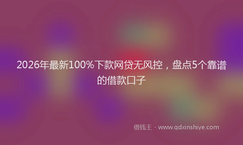 2026年最新100%下款网贷无风控,盘点5个靠谱的借款口子