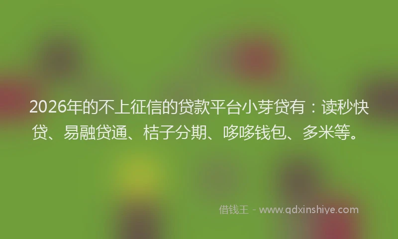 2026年的不上征信的贷款平台小芽贷有:读秒快贷、易融贷通、桔子分期、哆哆钱包、多米等。