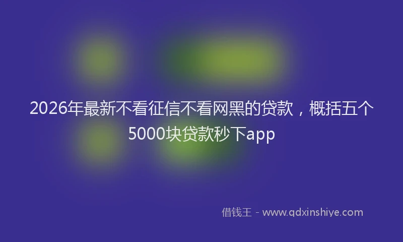 2026年最新不看征信不看网黑的贷款,概括五个5000块贷款秒下app