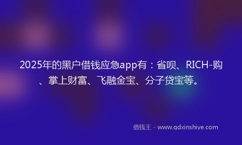 2025年的黑户借钱应急app有：省呗、RICH-购、掌上财富、飞融金宝、分子贷宝等。