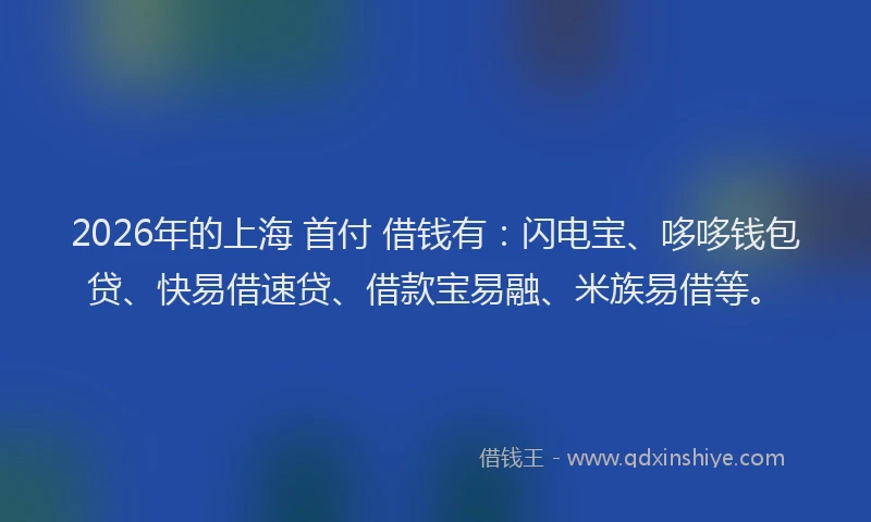 2026年的上海 首付 借钱有:闪电宝、哆哆钱包贷、快易借速贷、借款宝易融、米族易借等。