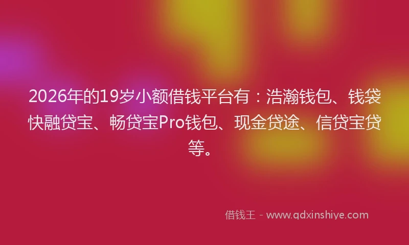 2026年的19岁小额借钱平台有：浩瀚钱包、钱袋快融贷宝、畅贷宝Pro钱包、现金贷途、信贷宝贷等。