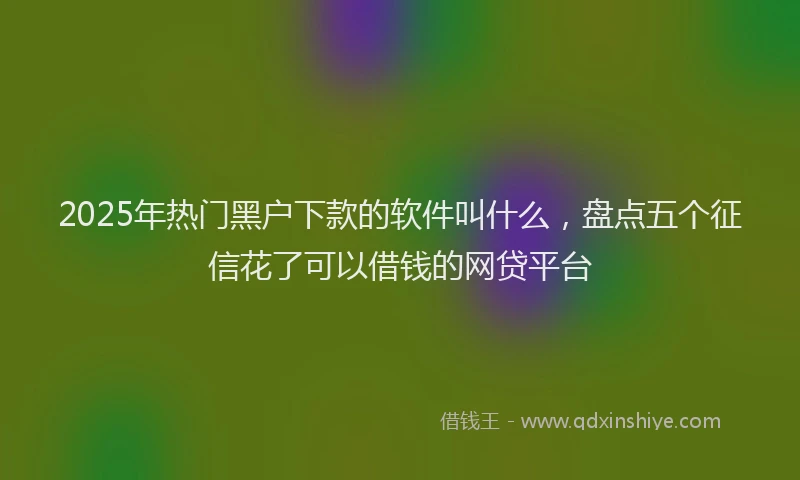 2025年热门黑户下款的软件叫什么，盘点五个征信花了可以借钱的网贷平台
