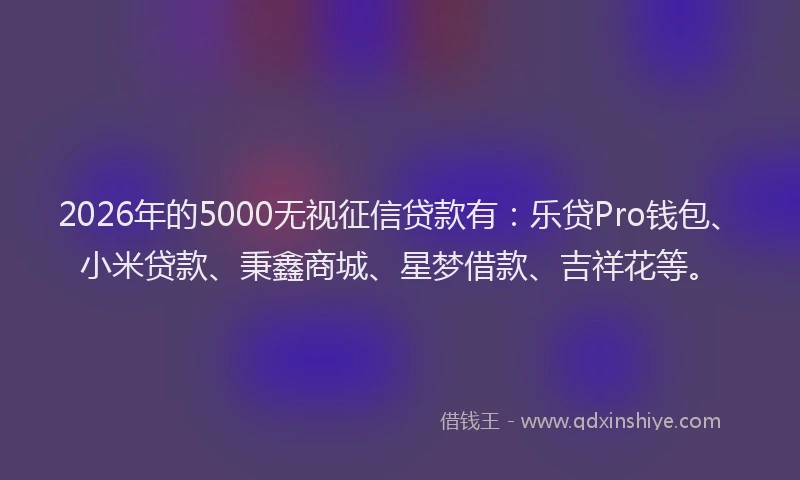 2026年的5000无视征信贷款有:乐贷Pro钱包、小米贷款、秉鑫商城、星梦借款、吉祥花等。