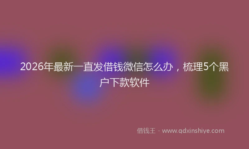 2026年最新一直发借钱微信怎么办,梳理5个黑户下款软件