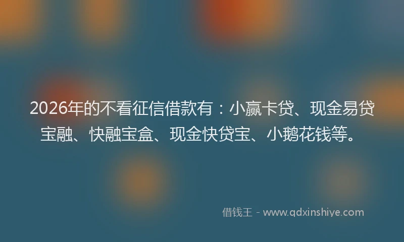 2026年的不看征信借款有:小赢卡贷、现金易贷宝融、快融宝盒、现金快贷宝、小鹅花钱等。