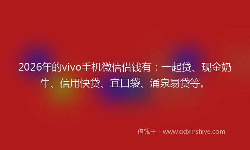 2026年的vivo手机微信借钱有：一起贷、现金奶牛、信用快贷、宜口袋、涌泉易贷等。