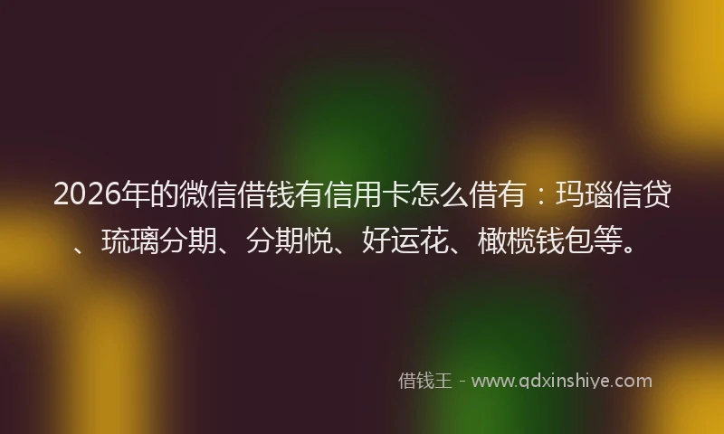 2026年的微信借钱有信用卡怎么借有:玛瑙信贷、琉璃分期、分期悦、好运花、橄榄钱包等。