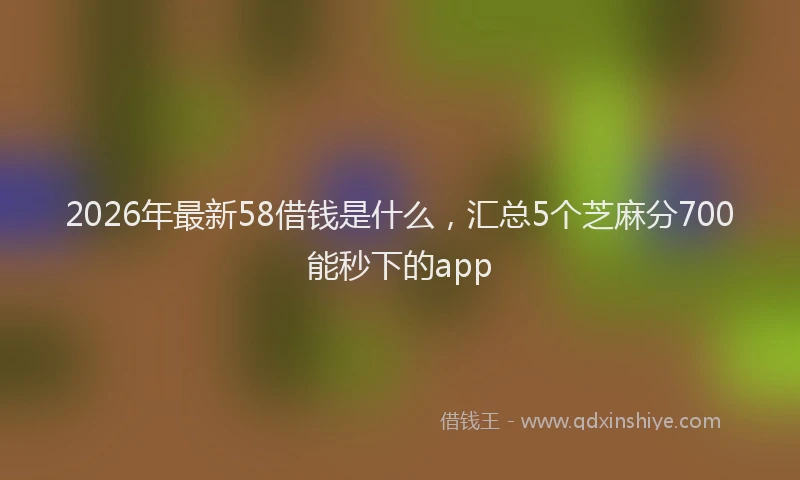 2026年最新58借钱是什么，汇总5个芝麻分700能秒下的app