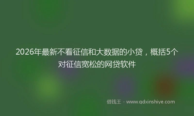 2026年最新不看征信和大数据的小贷,概括5个对征信宽松的网贷软件