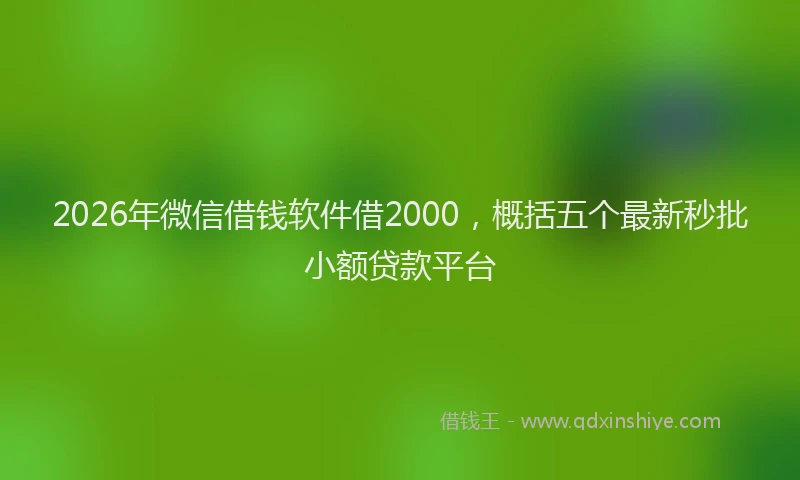 2026年微信借钱软件借2000,概括五个最新秒批小额贷款平台