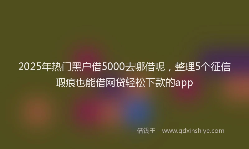 2025年热门黑户借5000去哪借呢，整理5个征信瑕疵也能借网贷轻松下款的app