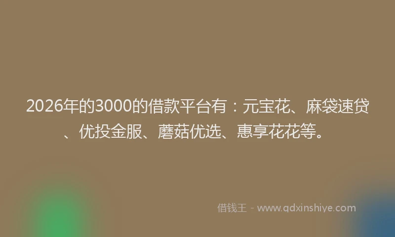 2026年的3000的借款平台有：元宝花、麻袋速贷、优投金服、蘑菇优选、惠享花花等。