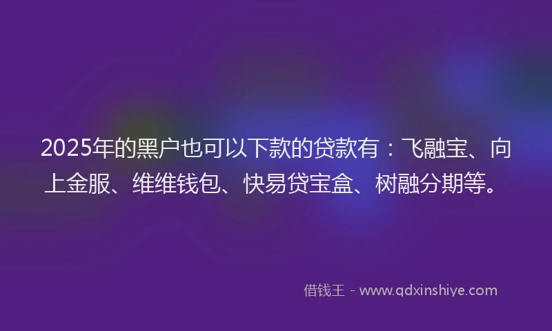 2025年的黑户也可以下款的贷款有：飞融宝、向上金服、维维钱包、快易贷宝盒、树融分期等。