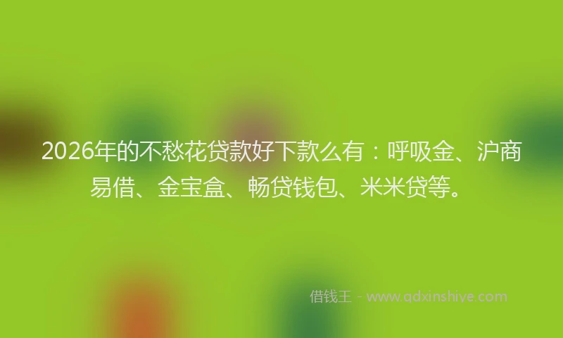 2026年的不愁花贷款好下款么有:呼吸金、沪商易借、金宝盒、畅贷钱包、米米贷等。