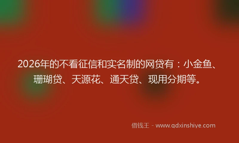 2026年的不看征信和实名制的网贷有：小金鱼、珊瑚贷、天源花、通天贷、现用分期等。