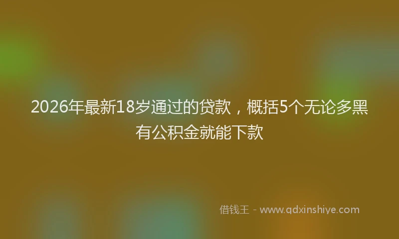 2026年最新18岁通过的贷款,概括5个无论多黑有公积金就能下款