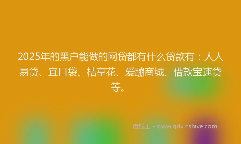 2025年的黑户能做的网贷都有什么贷款有：人人易贷、宜口袋、桔享花、爱蹦商城、借款宝速贷等。