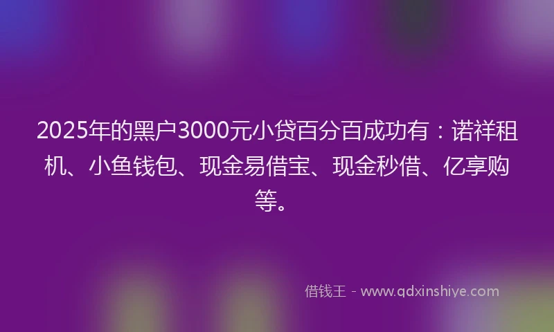 2025年的黑户3000元小贷百分百成功有:诺祥租机、小鱼钱包、现金易借宝、现金秒借、亿享购等。