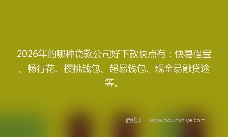 2026年的哪种贷款公司好下款快点有：快易借宝、畅行花、樱桃钱包、超易钱包、现金易融贷途等。