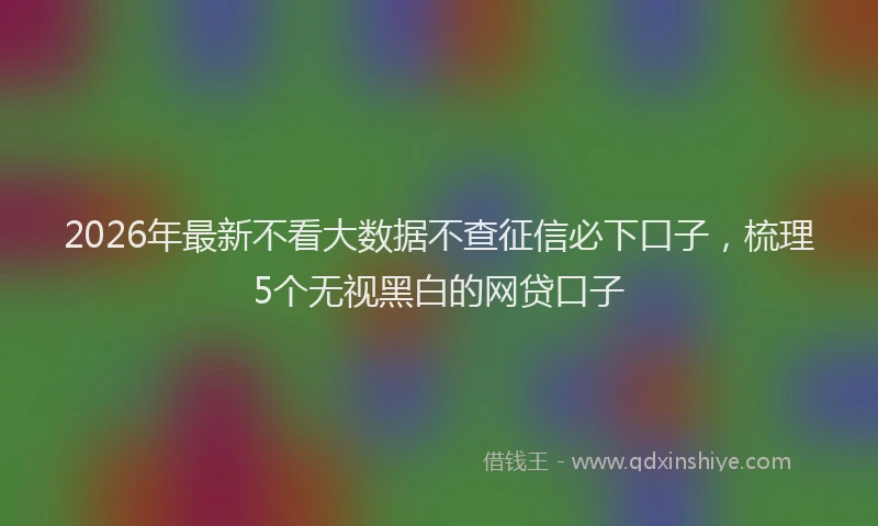 2026年最新不看大数据不查征信必下口子,梳理5个无视黑白的网贷口子