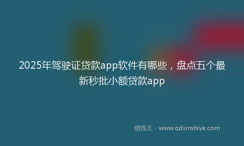2025年驾驶证贷款app软件有哪些，盘点五个最新秒批小额贷款app
