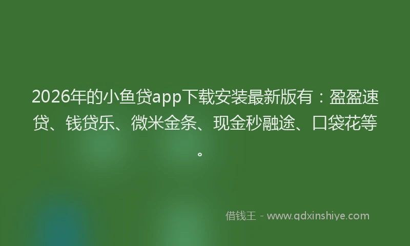 2026年的小鱼贷app下载安装最新版有：盈盈速贷、钱贷乐、微米金条、现金秒融途、口袋花等。