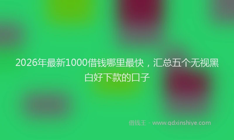 2026年最新1000借钱哪里最快，汇总五个无视黑白好下款的口子