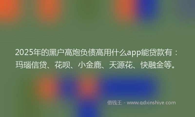 2025年的黑户高炮负债高用什么app能贷款有：玛瑙信贷、花呗、小金鹿、天源花、快融金等。